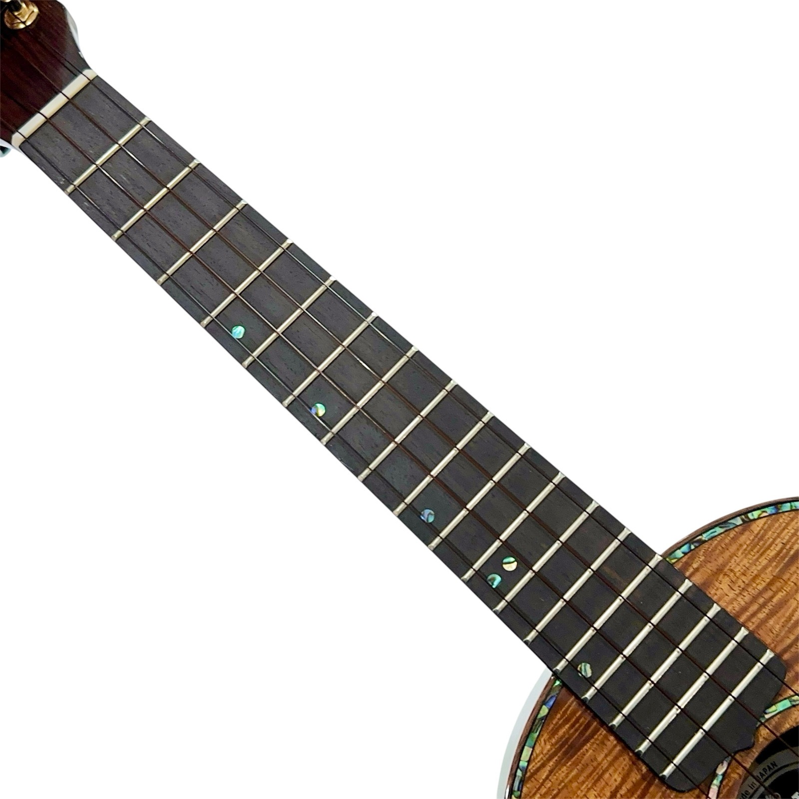 ��KIWAYA��KPT-5K/J �ƥʡ�������