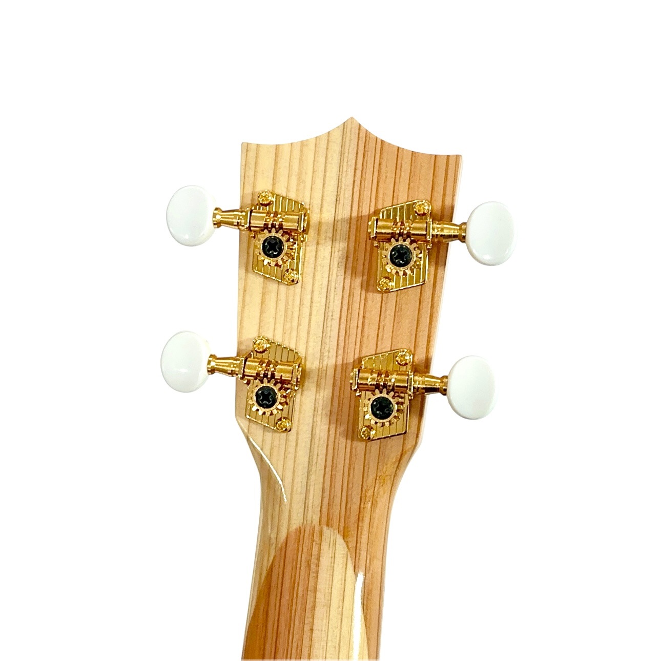 ��Famous��Τ��������� ���㸩�����������ǥ� ���ץ��