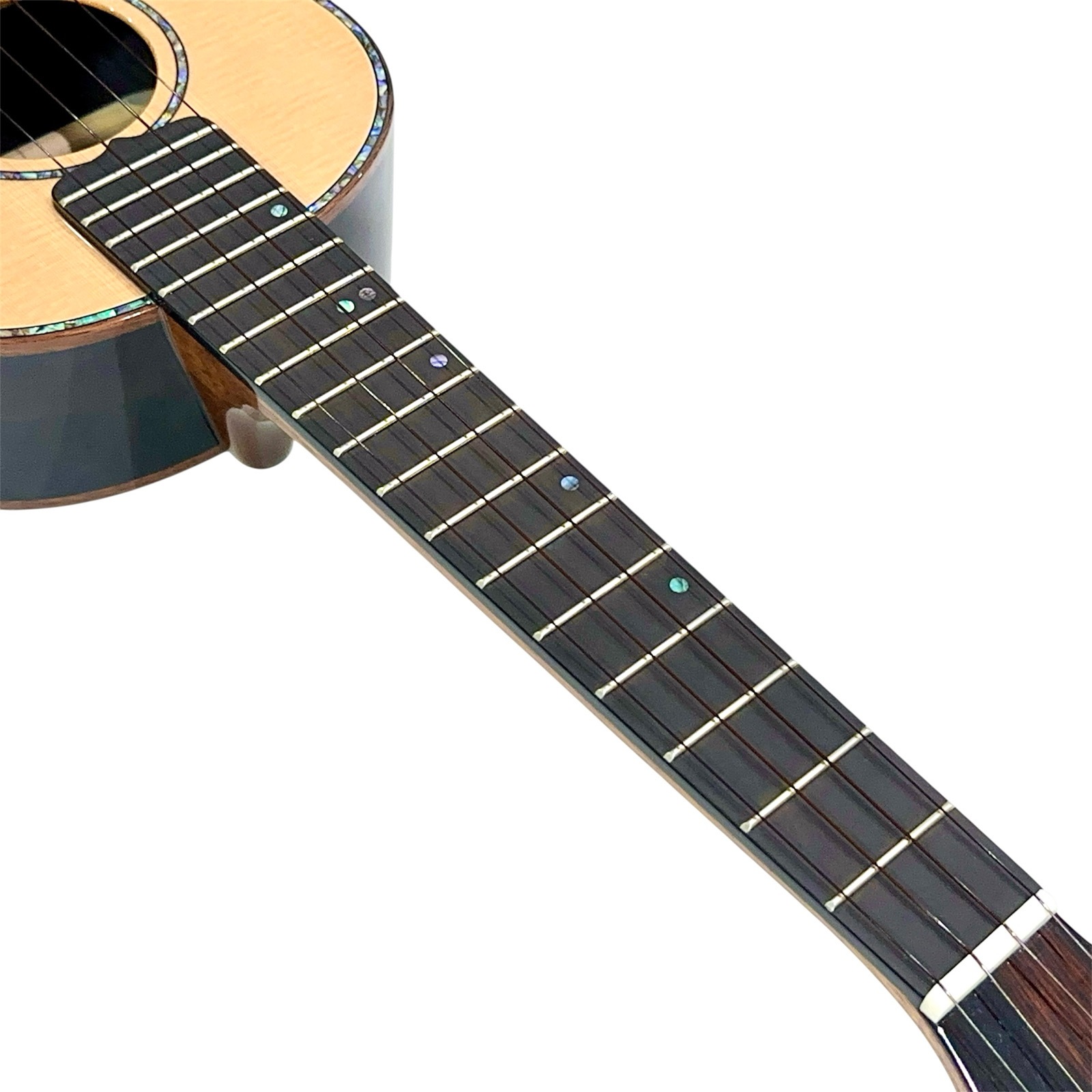 ��KIWAYA��KPT-5SP/J �ƥʡ�������