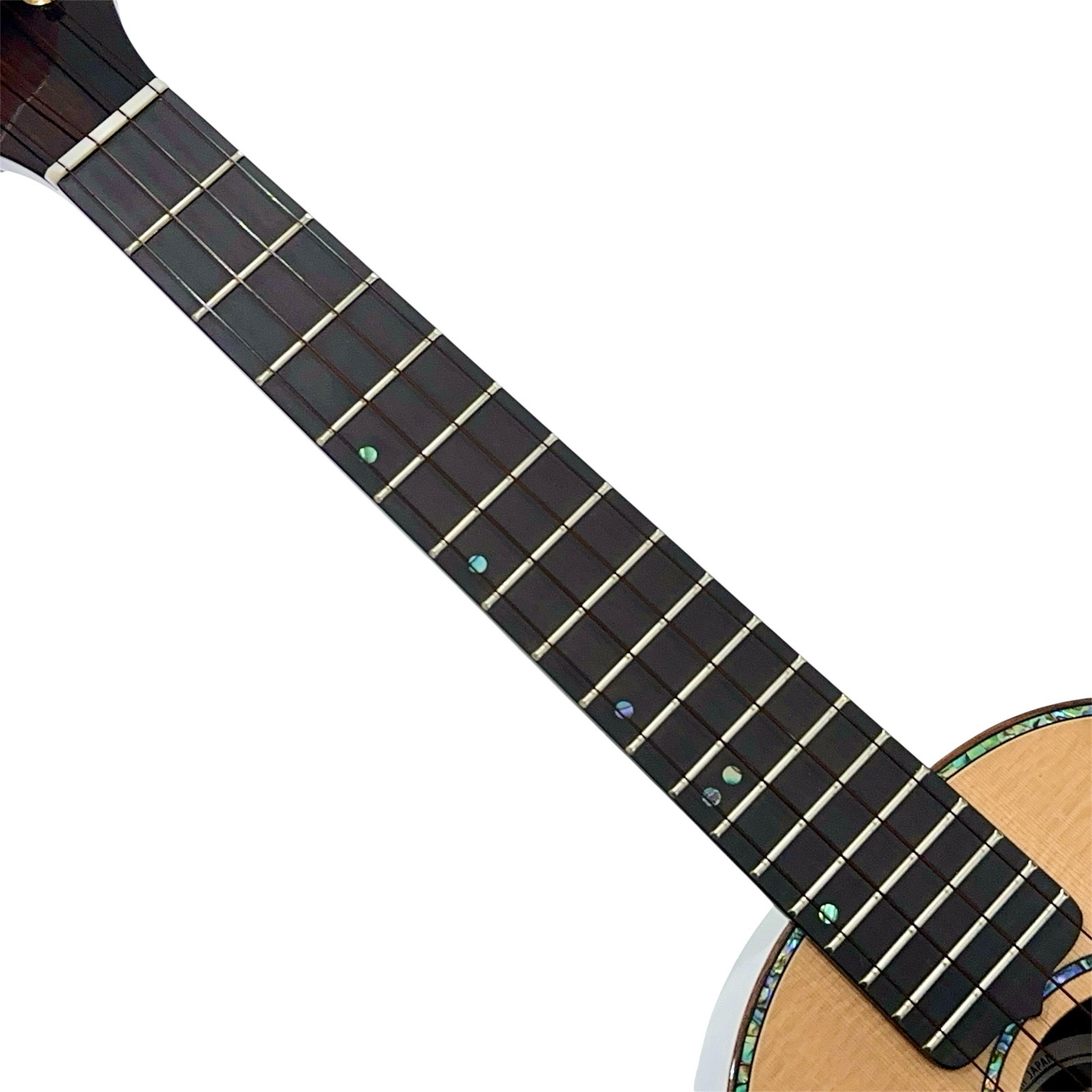 ��KIWAYA��KPT-5SP/J �ƥʡ�������