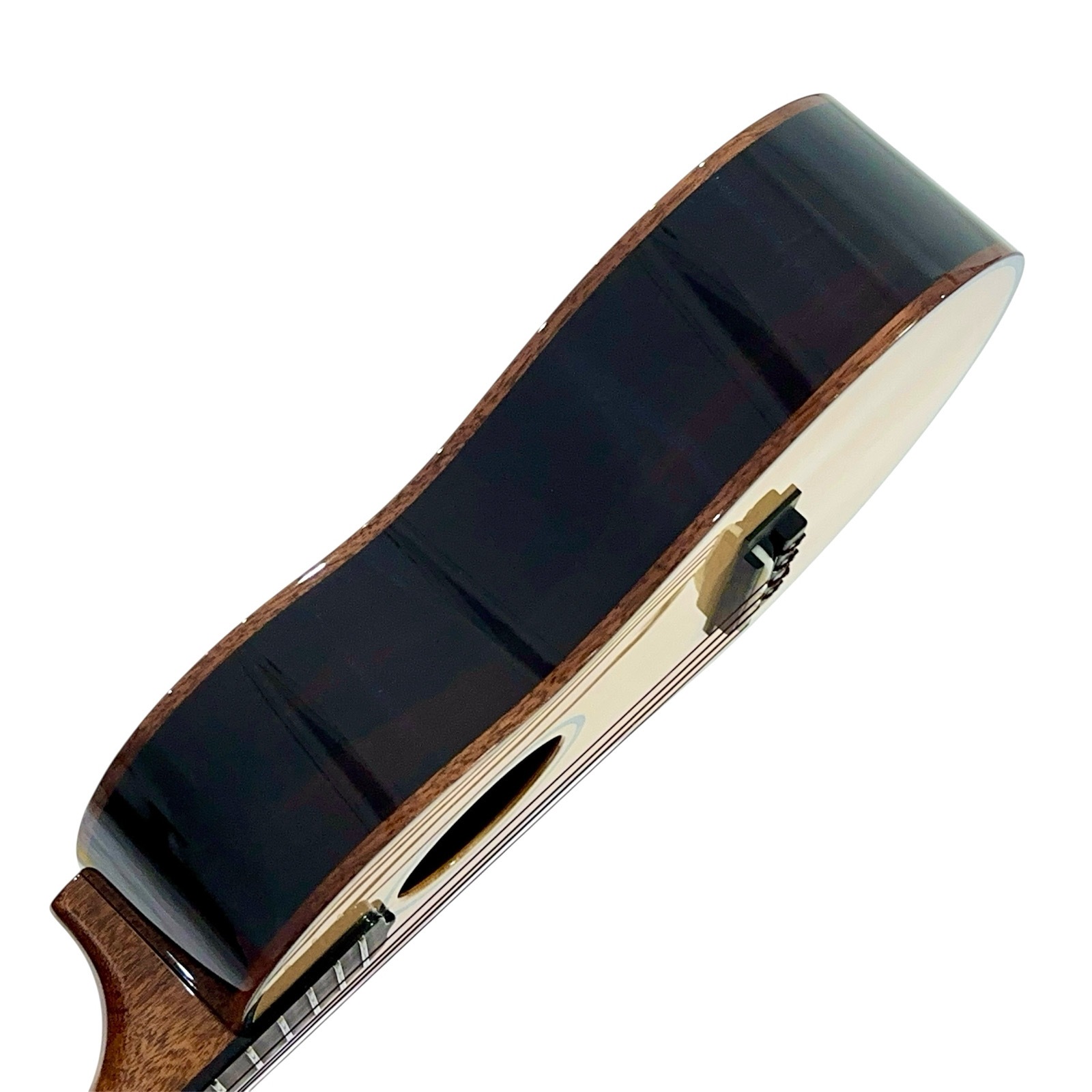 ��KIWAYA��KPT-5SP/J �ƥʡ�������