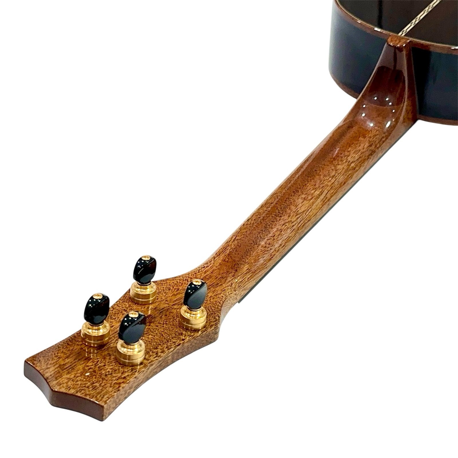 ��KIWAYA��KPT-5SP/J �ƥʡ�������