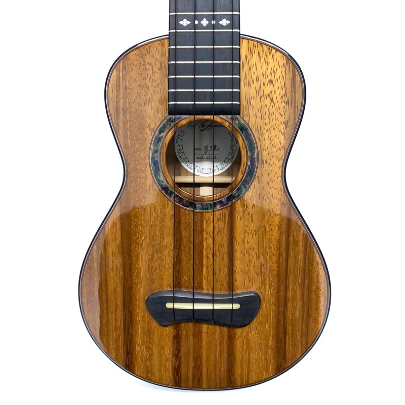 Leaf Instruments۾Ȥ No.181 ץΥ