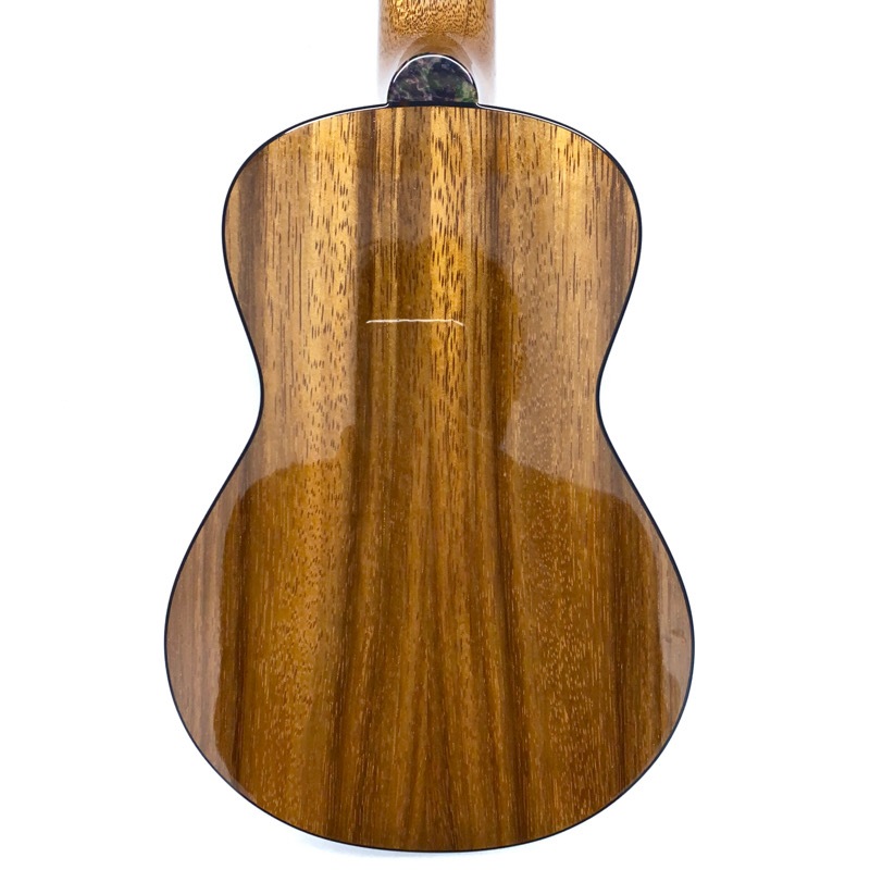 Leaf Instruments۾Ȥ No.181 ץΥ