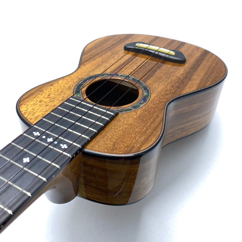 Leaf Instruments۾Ȥ No.181 ץΥ