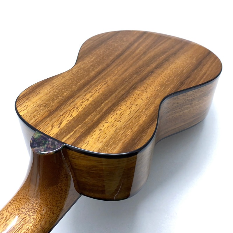 Leaf Instruments۾Ȥ No.181 ץΥ