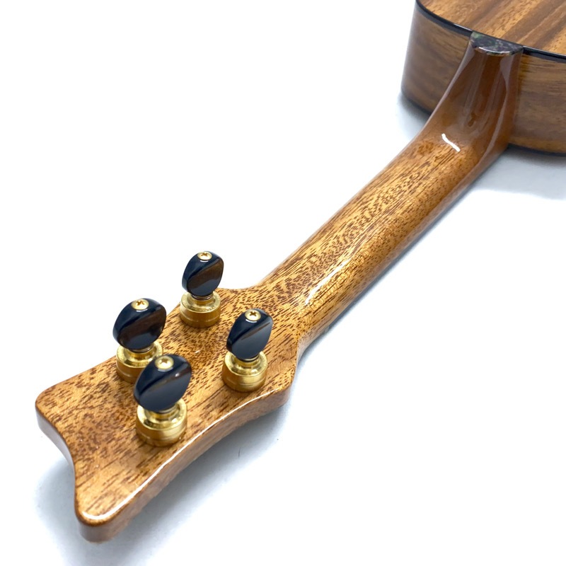 Leaf Instruments۾Ȥ No.181 ץΥ