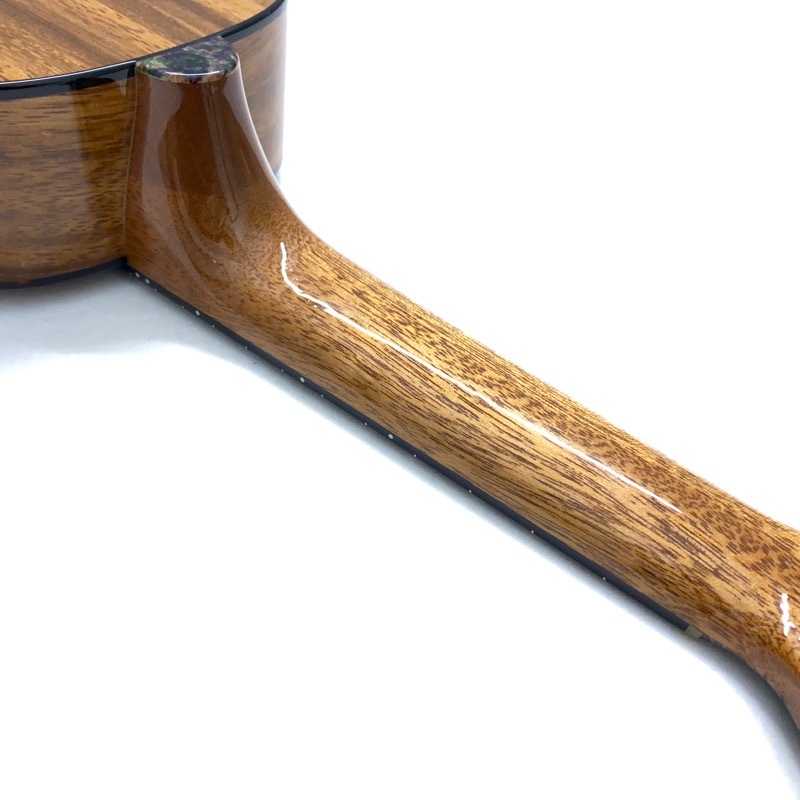 Leaf Instruments۾Ȥ No.181 ץΥ