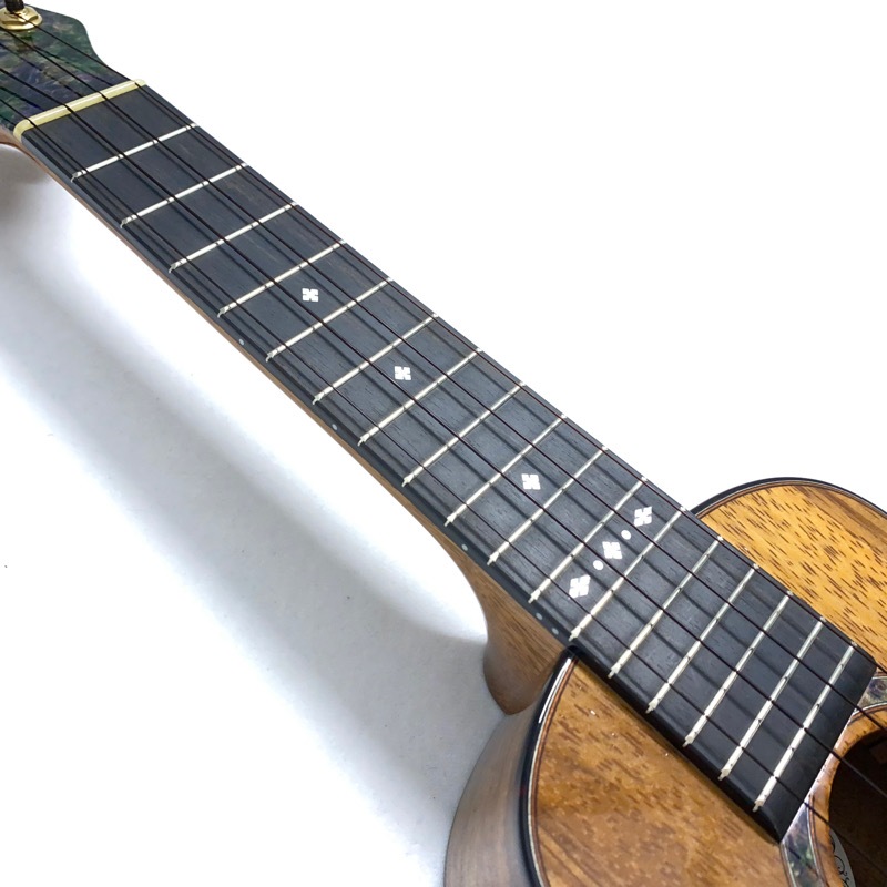 Leaf Instruments۾Ȥ No.181 ץΥ