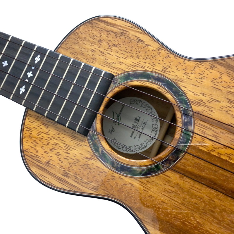 Leaf Instruments۾Ȥ No.181 ץΥ