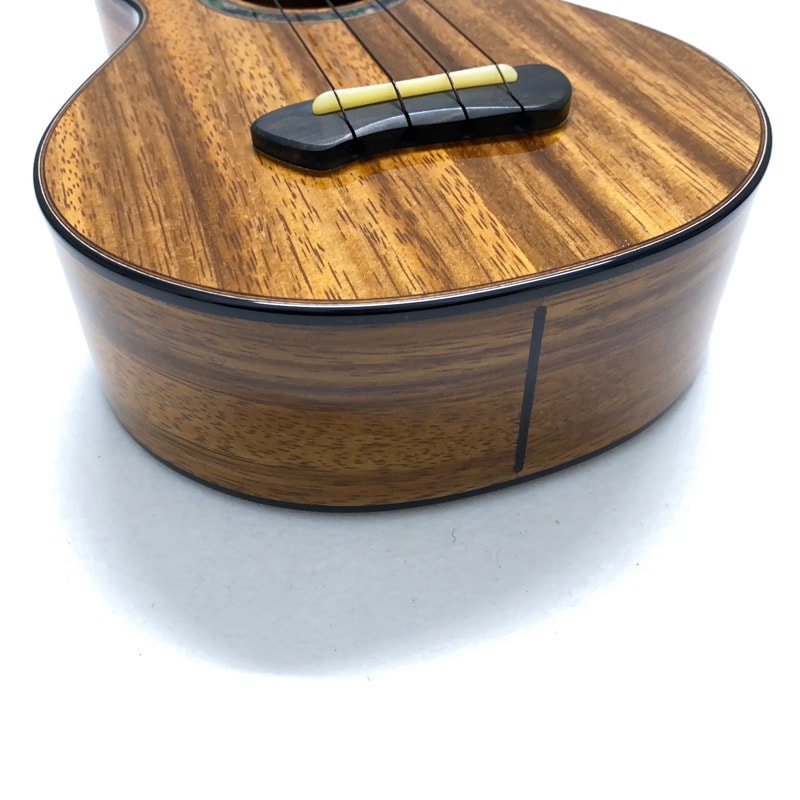 Leaf Instruments۾Ȥ No.181 ץΥ