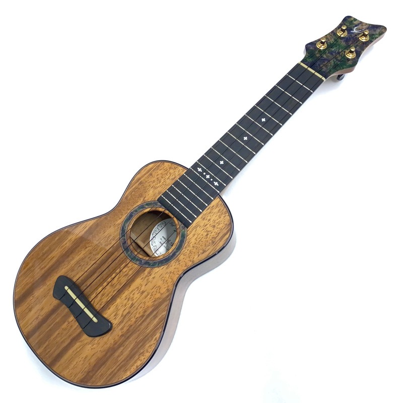 Leaf Instruments۾Ȥ No.181 ץΥ