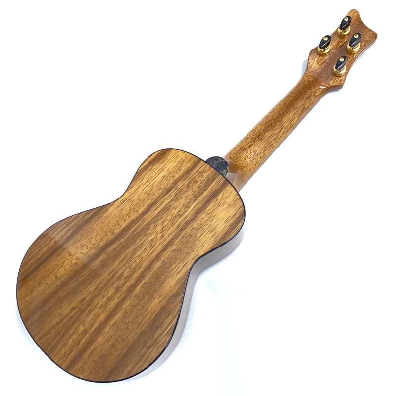 Leaf Instruments۾Ȥ No.181 ץΥ