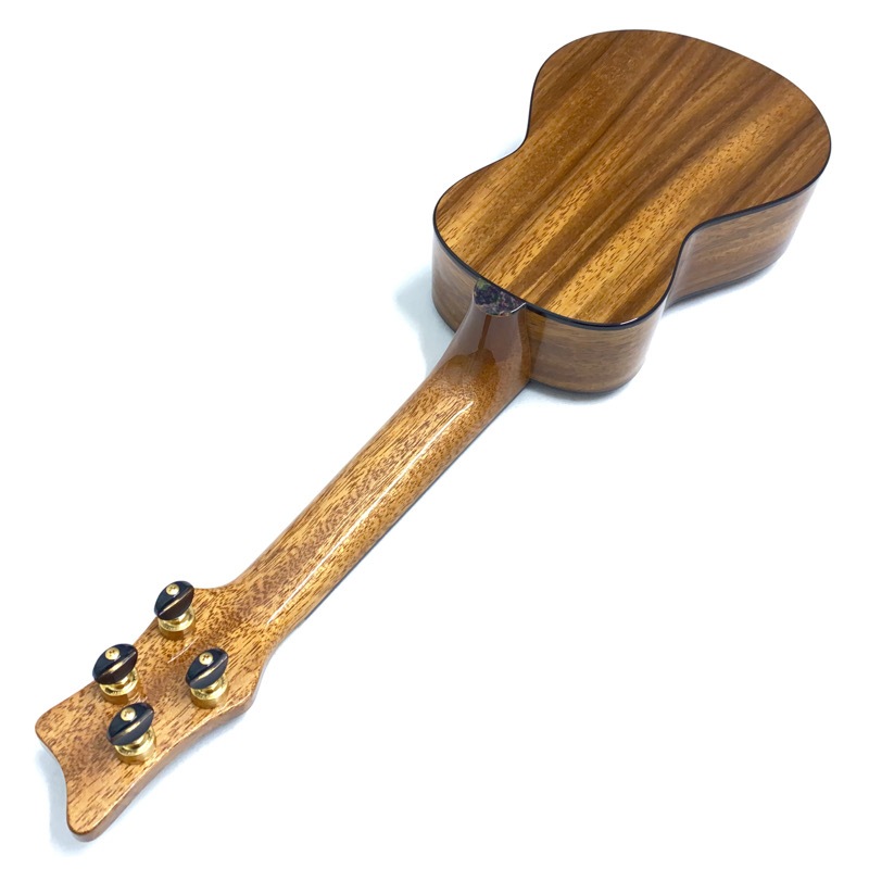 Leaf Instruments۾Ȥ No.181 ץΥ