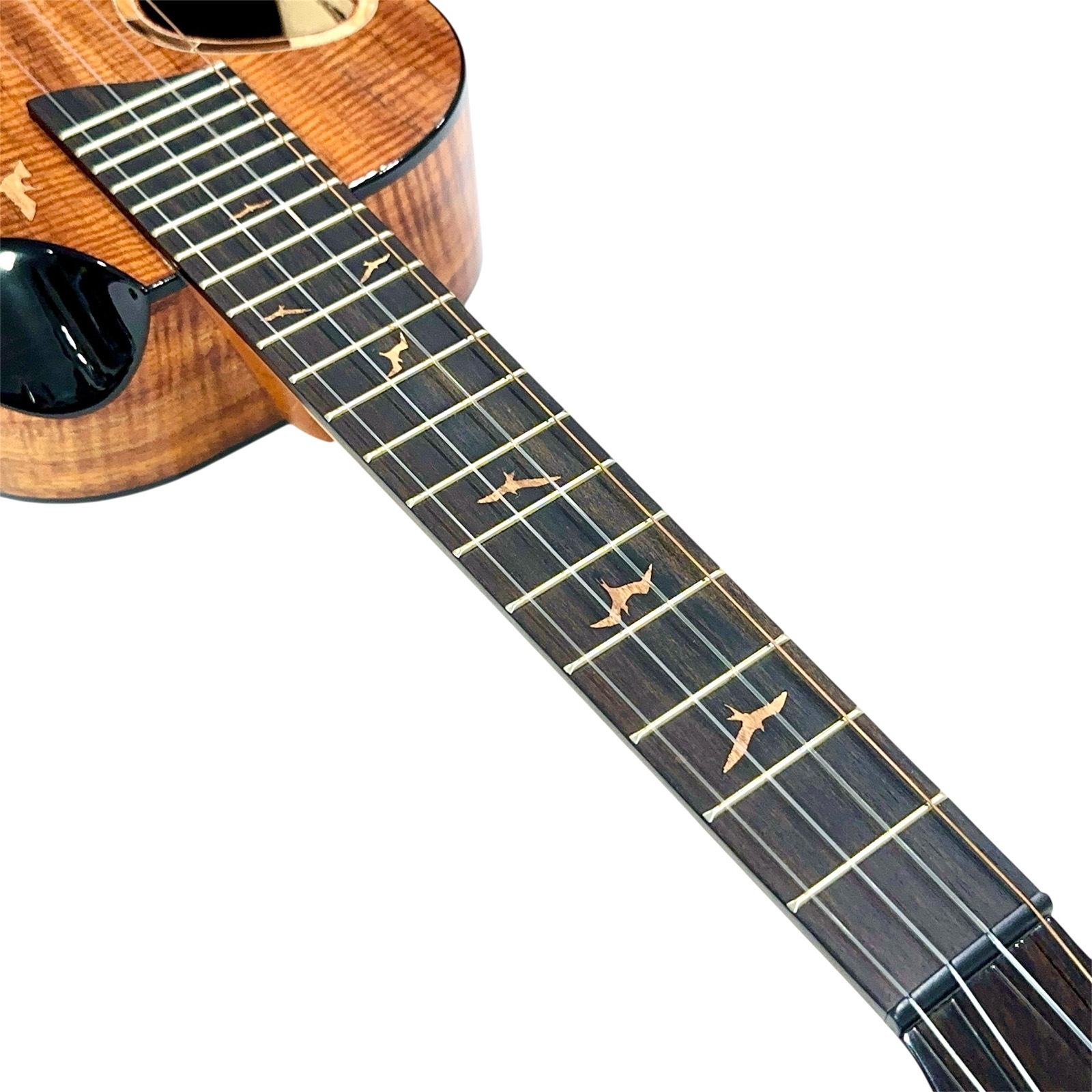 ��Kanile'a��"Platinum 2025" �ƥʡ�������