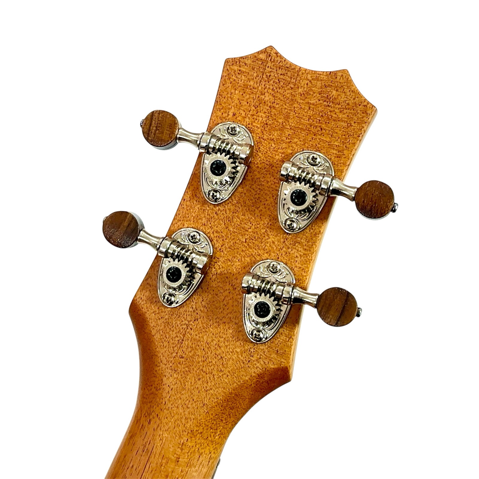 ��Kanile'a��"Platinum 2025" �ƥʡ�������