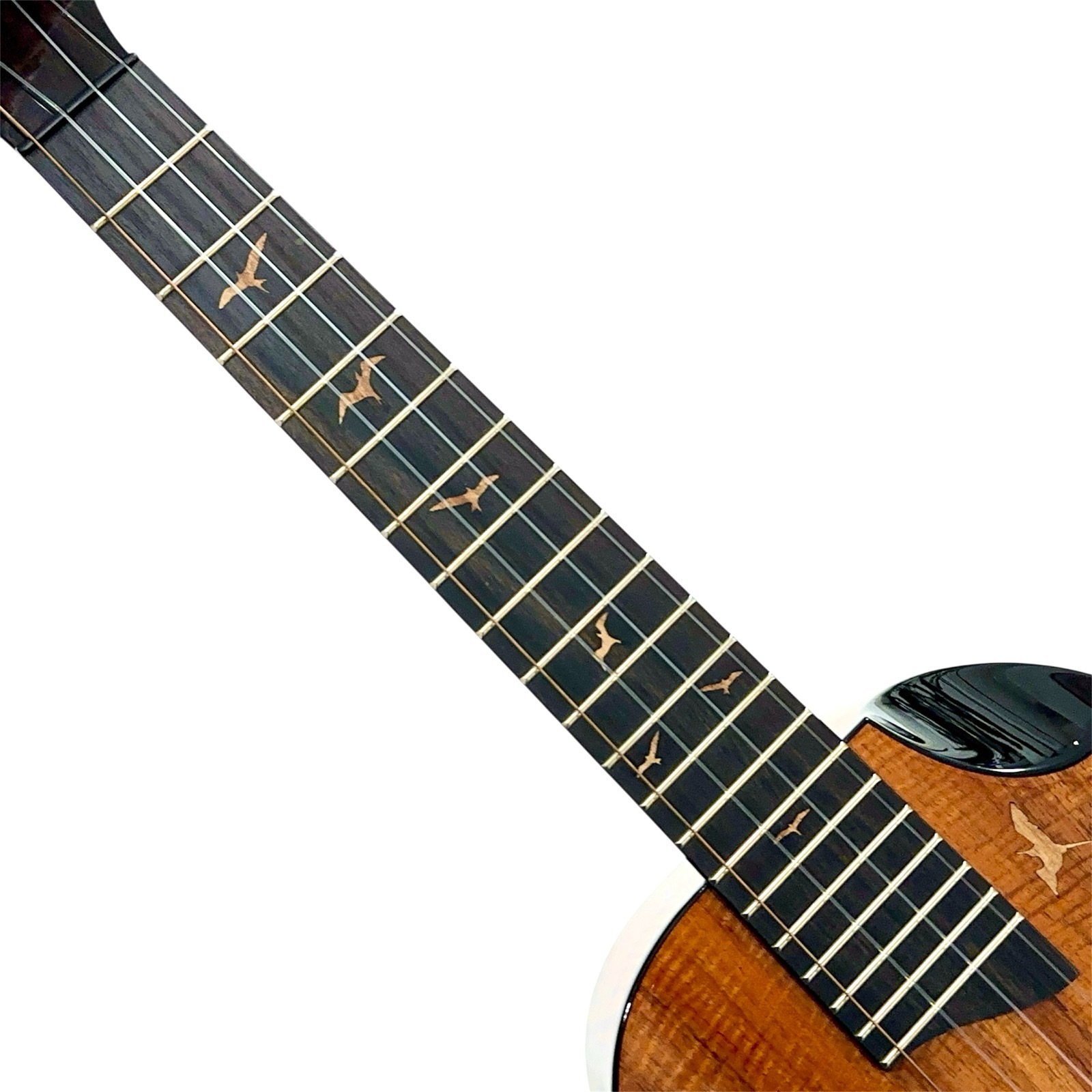 ��Kanile'a��"Platinum 2025" �ƥʡ�������