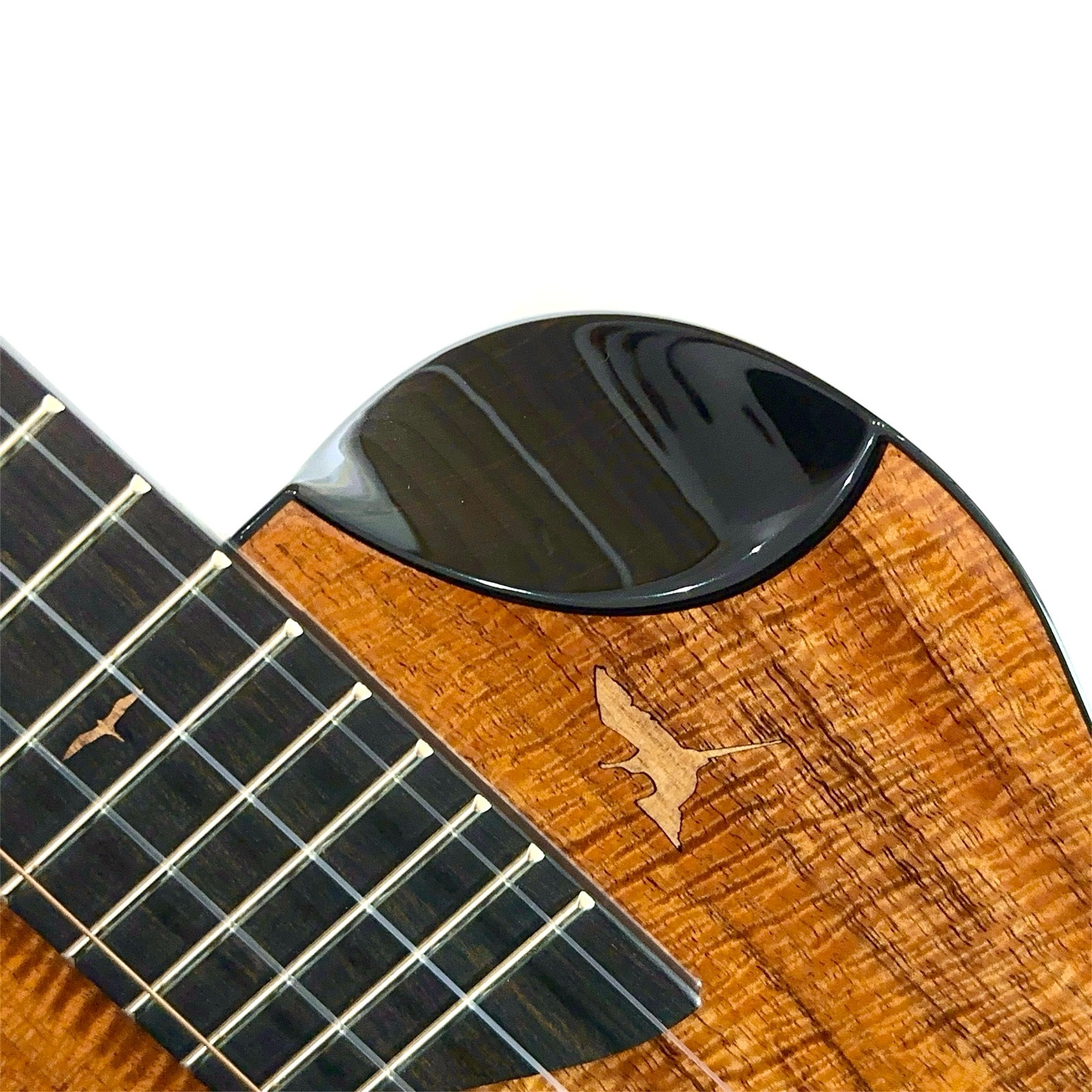 ��Kanile'a��"Platinum 2025" �ƥʡ�������