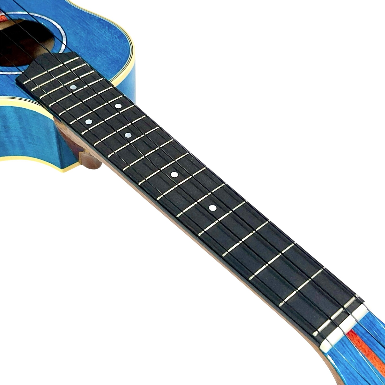 ��KIWAYA��KPC-F KK/Kawasemi ���襷���ӥ�ǥ�