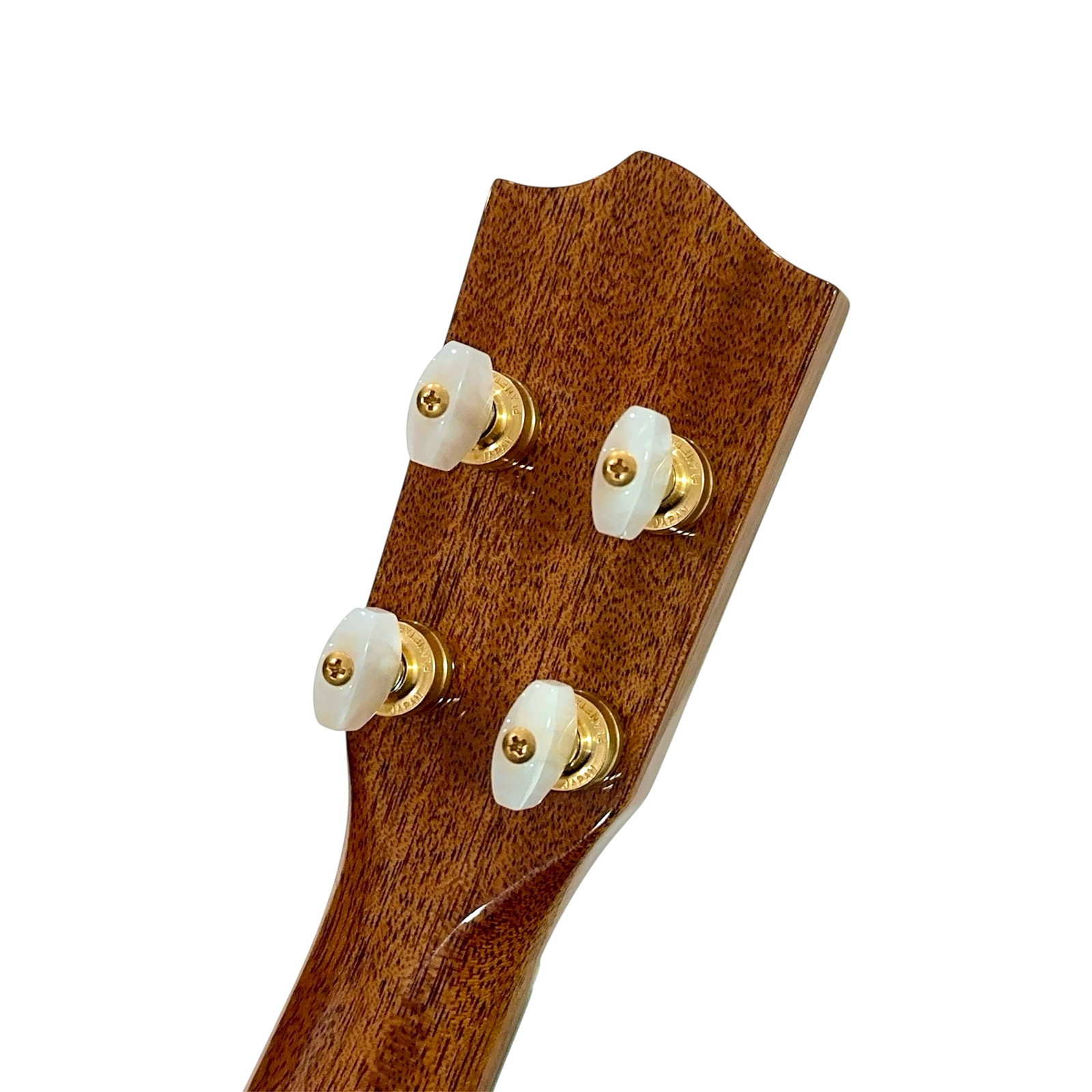 ��KIWAYA��KPC-F KK/Kawasemi ���襷���ӥ�ǥ�