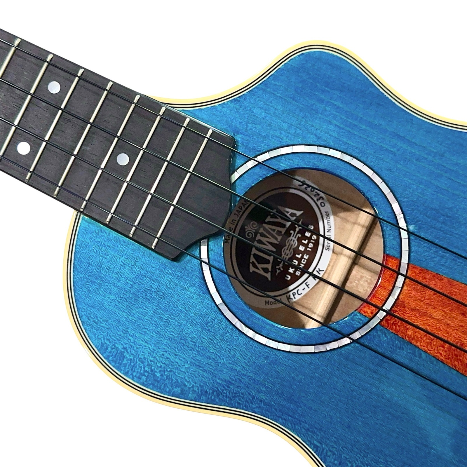 ��KIWAYA��KPC-F KK/Kawasemi ���襷���ӥ�ǥ�