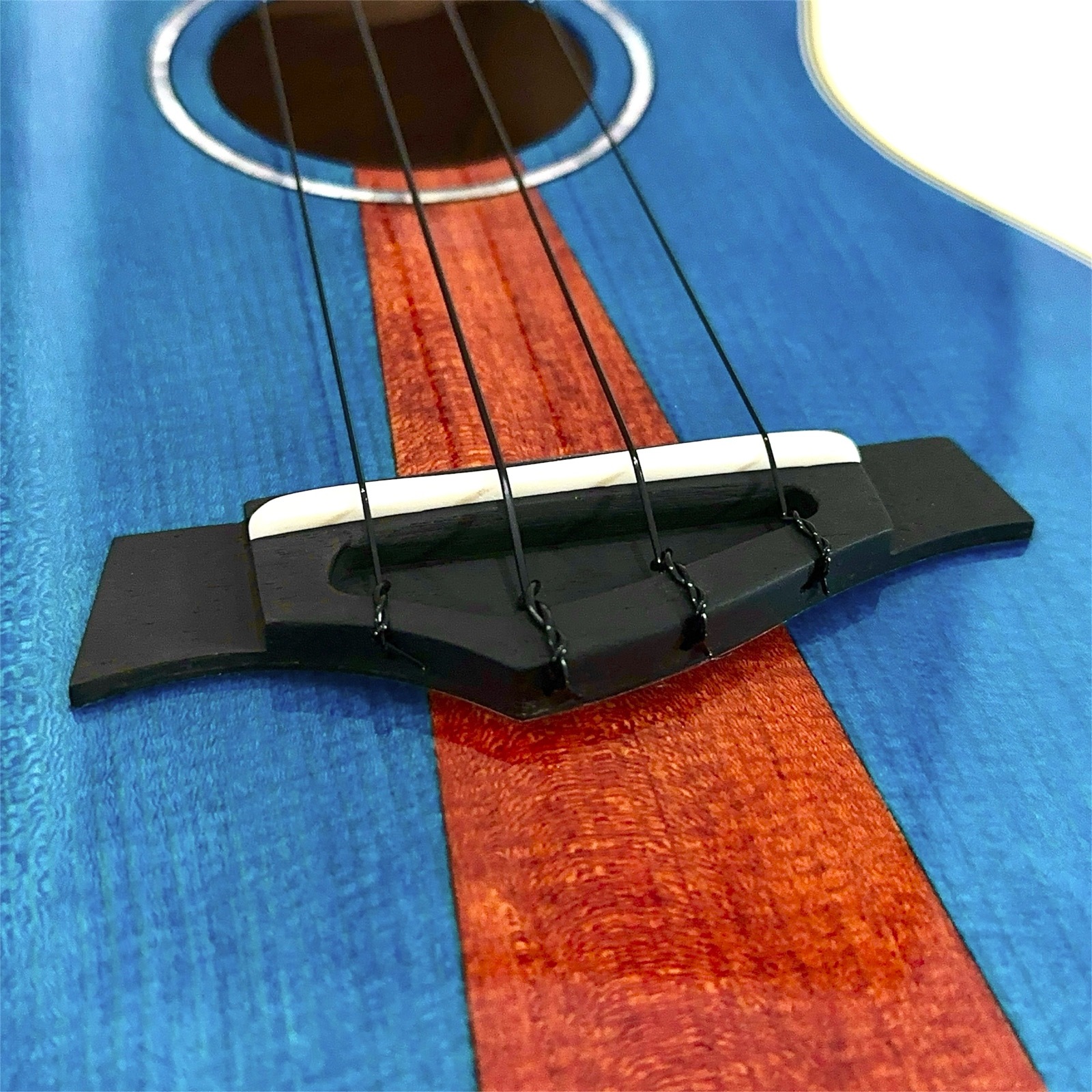 ��KIWAYA��KPC-F KK/Kawasemi ���襷���ӥ�ǥ�