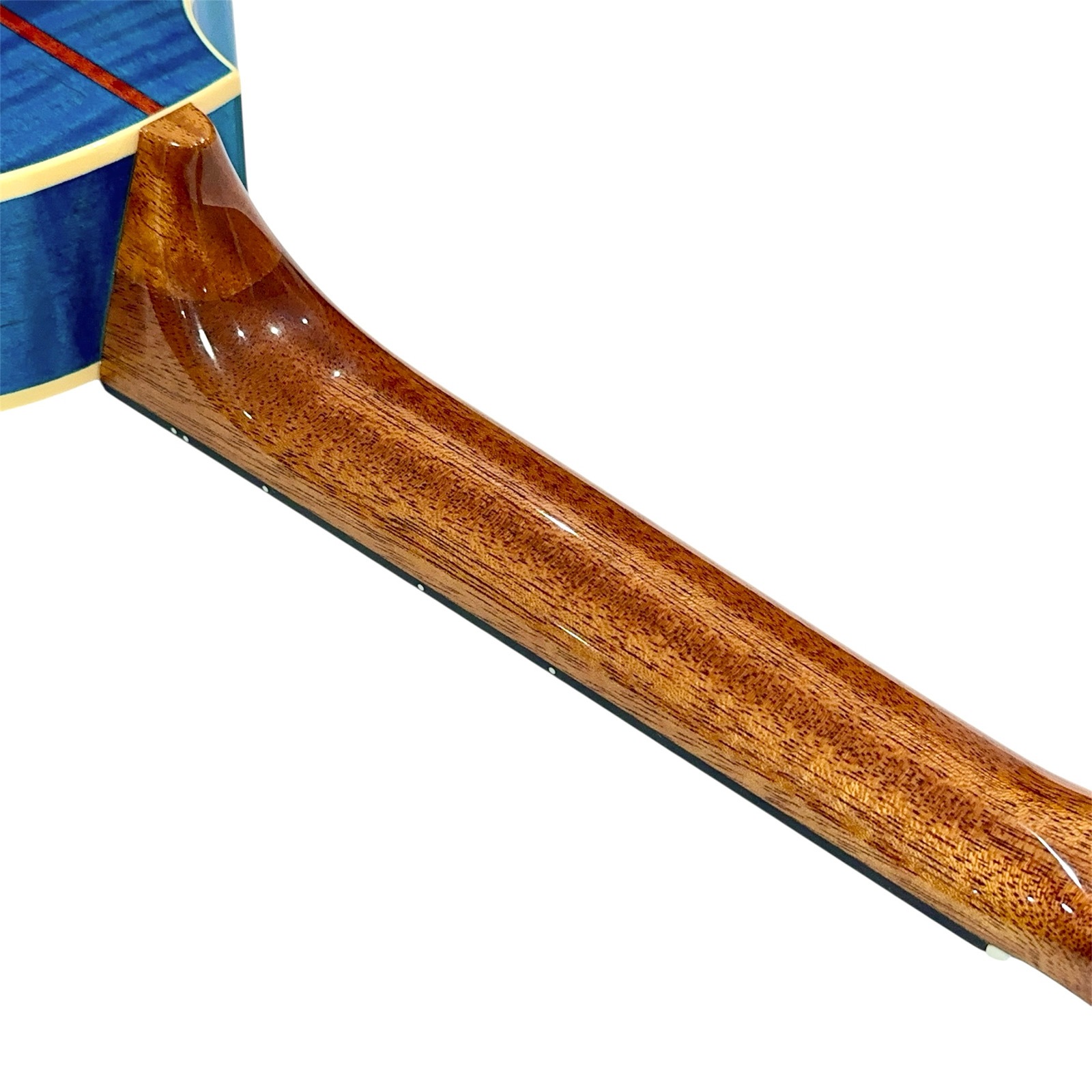 ��KIWAYA��KPC-F KK/Kawasemi ���襷���ӥ�ǥ�