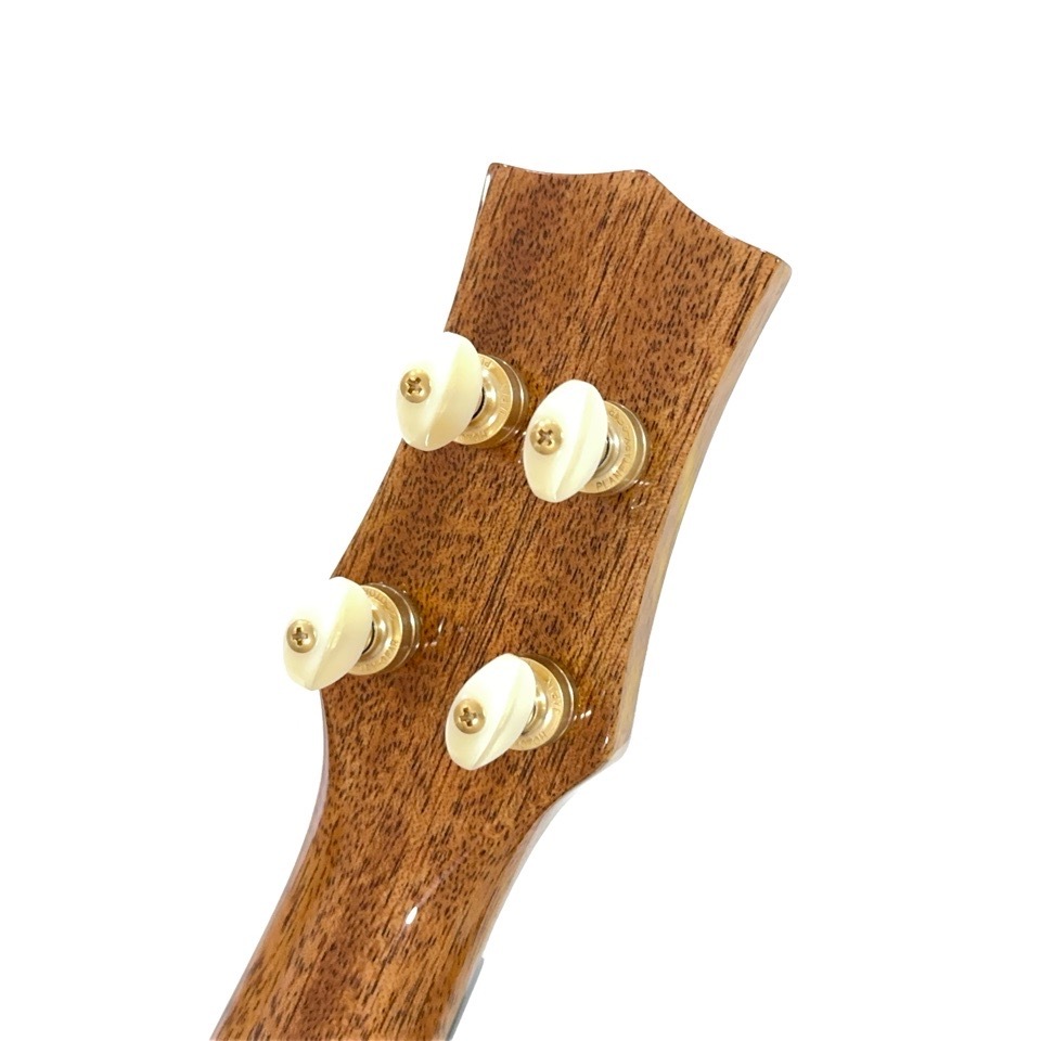 KIWAYAKPC-5MGC 󥵡ȥ