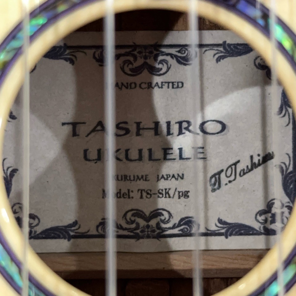 TASHIROTS-SK/pg ץΥ󥰥ͥå