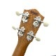 ASTURIASMaho DSH 30th Anni.ꥸʥ륵
