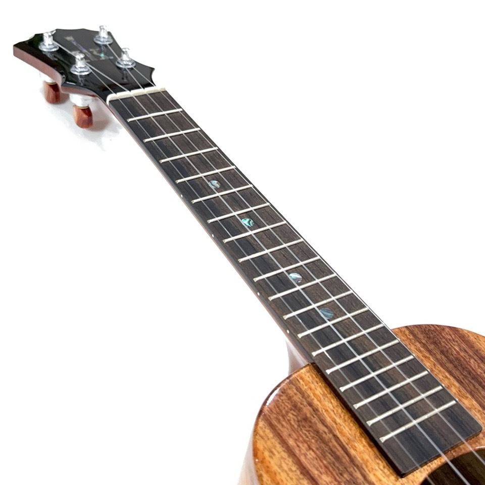 ��KoAloha��KCM-00/UPT ���󥵡��ȥ�����