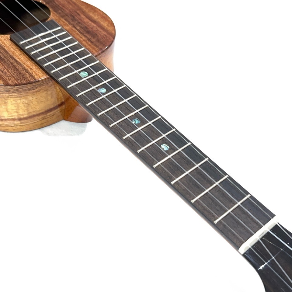 ��KoAloha��KCM-00/UPT ���󥵡��ȥ�����