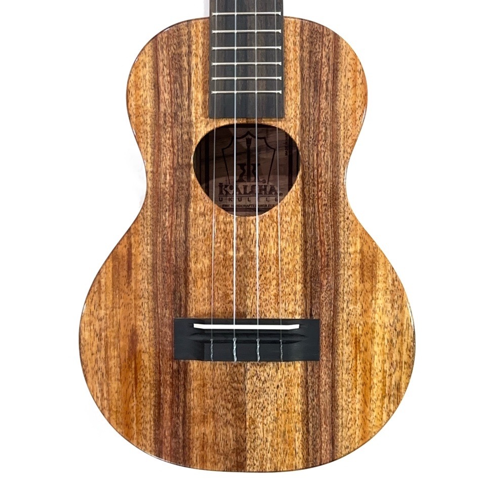 ��KoAloha��KCM-00/UPT ���󥵡��ȥ�����