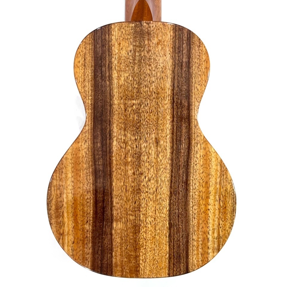 ��KoAloha��KCM-00/UPT ���󥵡��ȥ�����