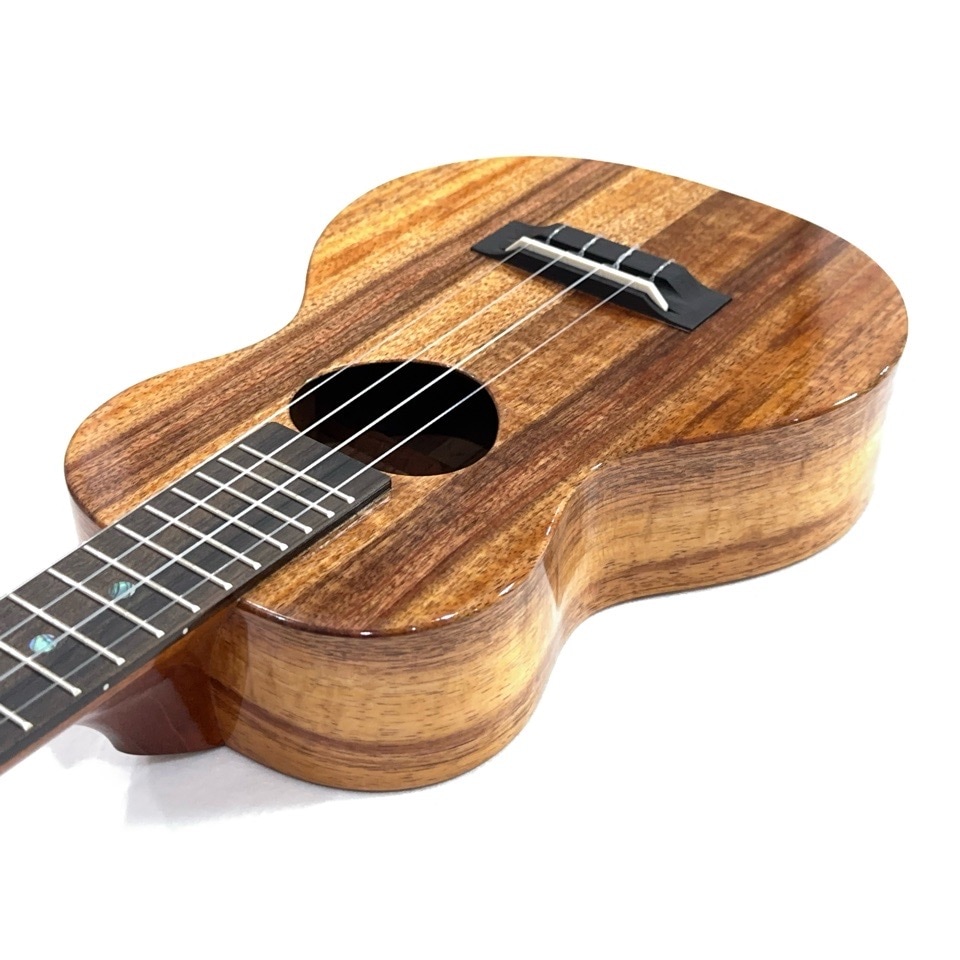 ��KoAloha��KCM-00/UPT ���󥵡��ȥ�����