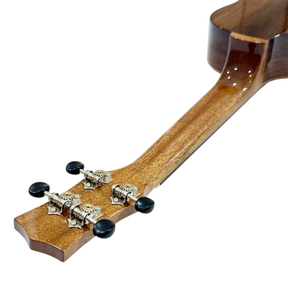 KIWAYAKPC-3SPC 󥵡ȥ