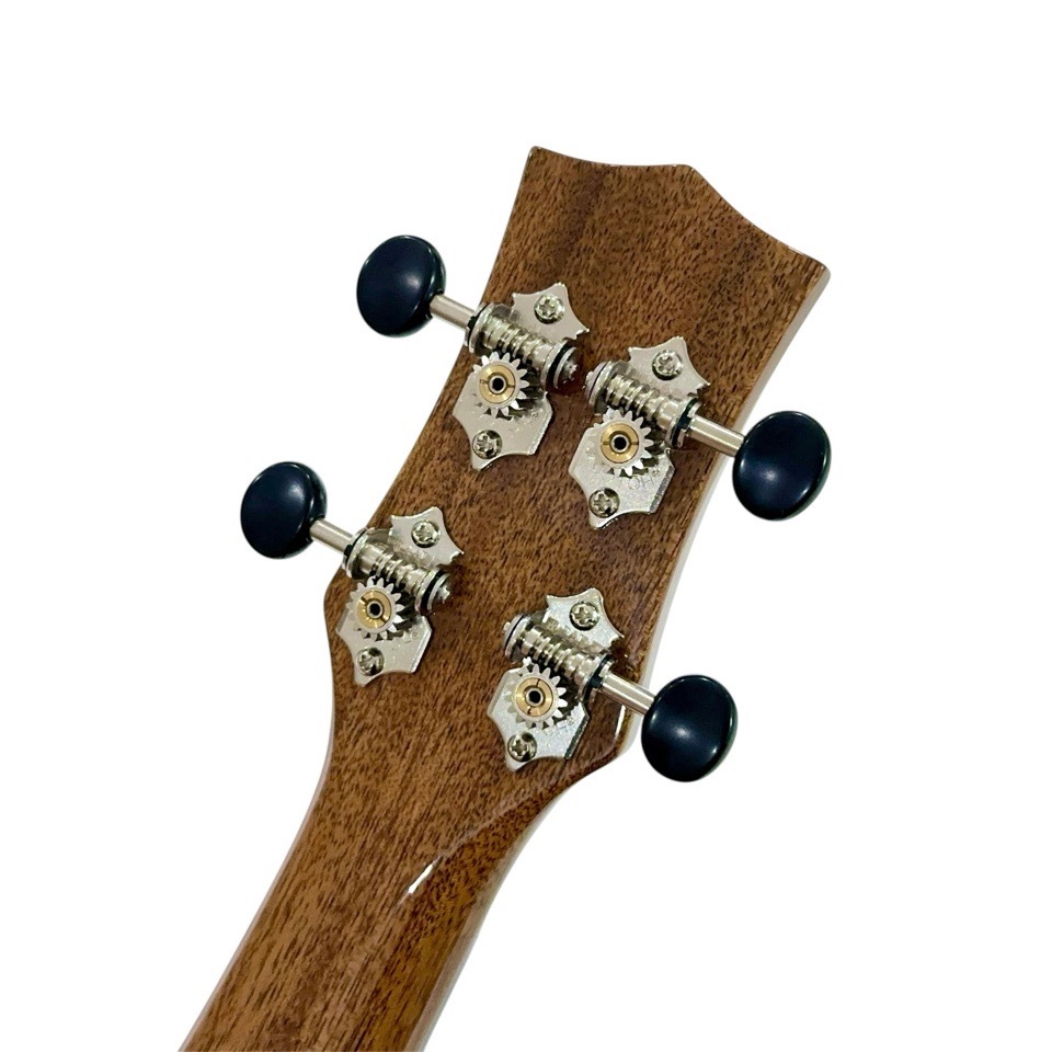 KIWAYAKPC-3SPC 󥵡ȥ