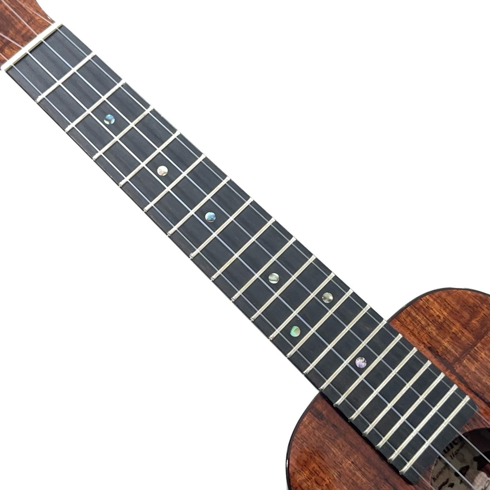 ��Kanile'a��ISLC/MG ���󥵡��ȥ�����