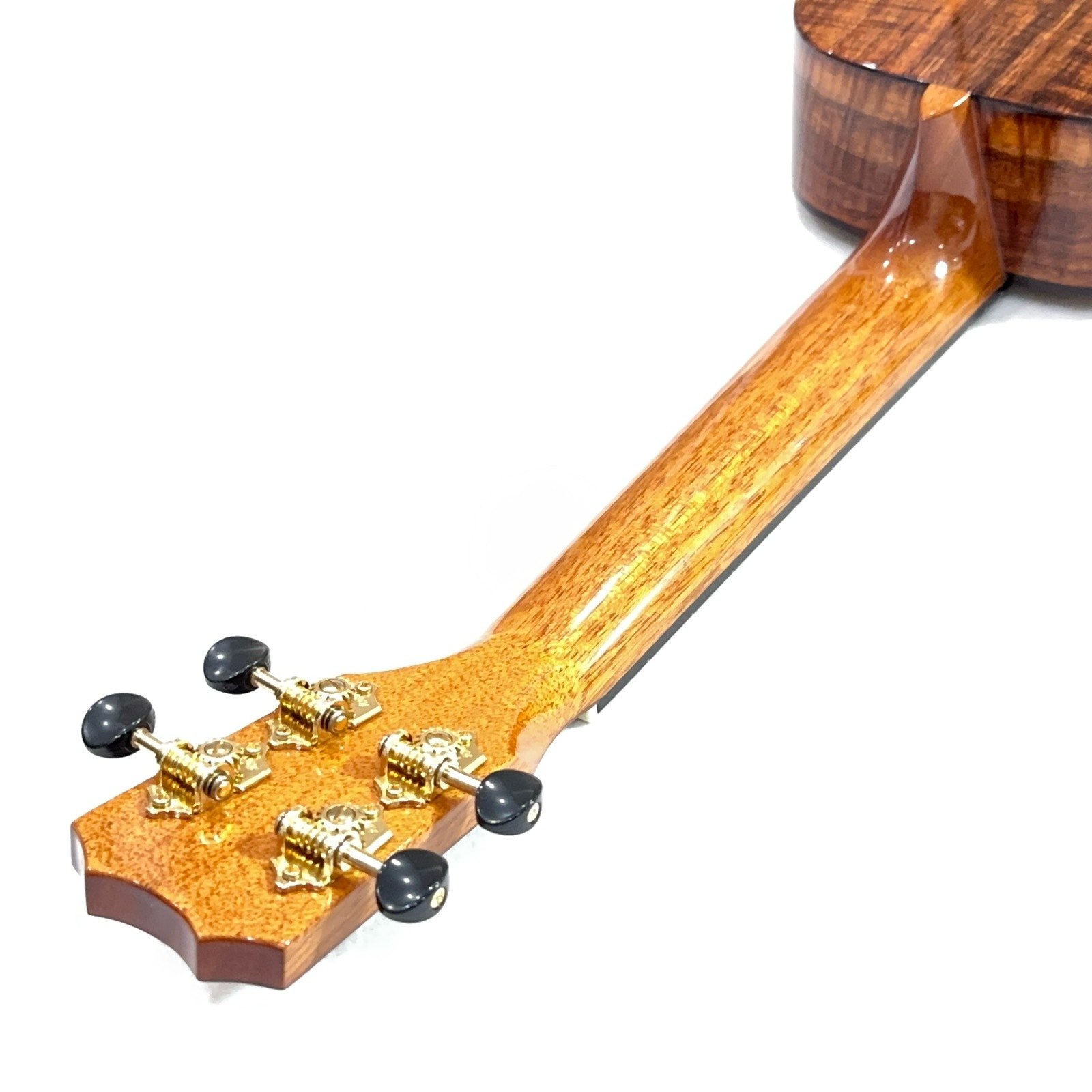 ��Kanile'a��ISLC/MG ���󥵡��ȥ�����