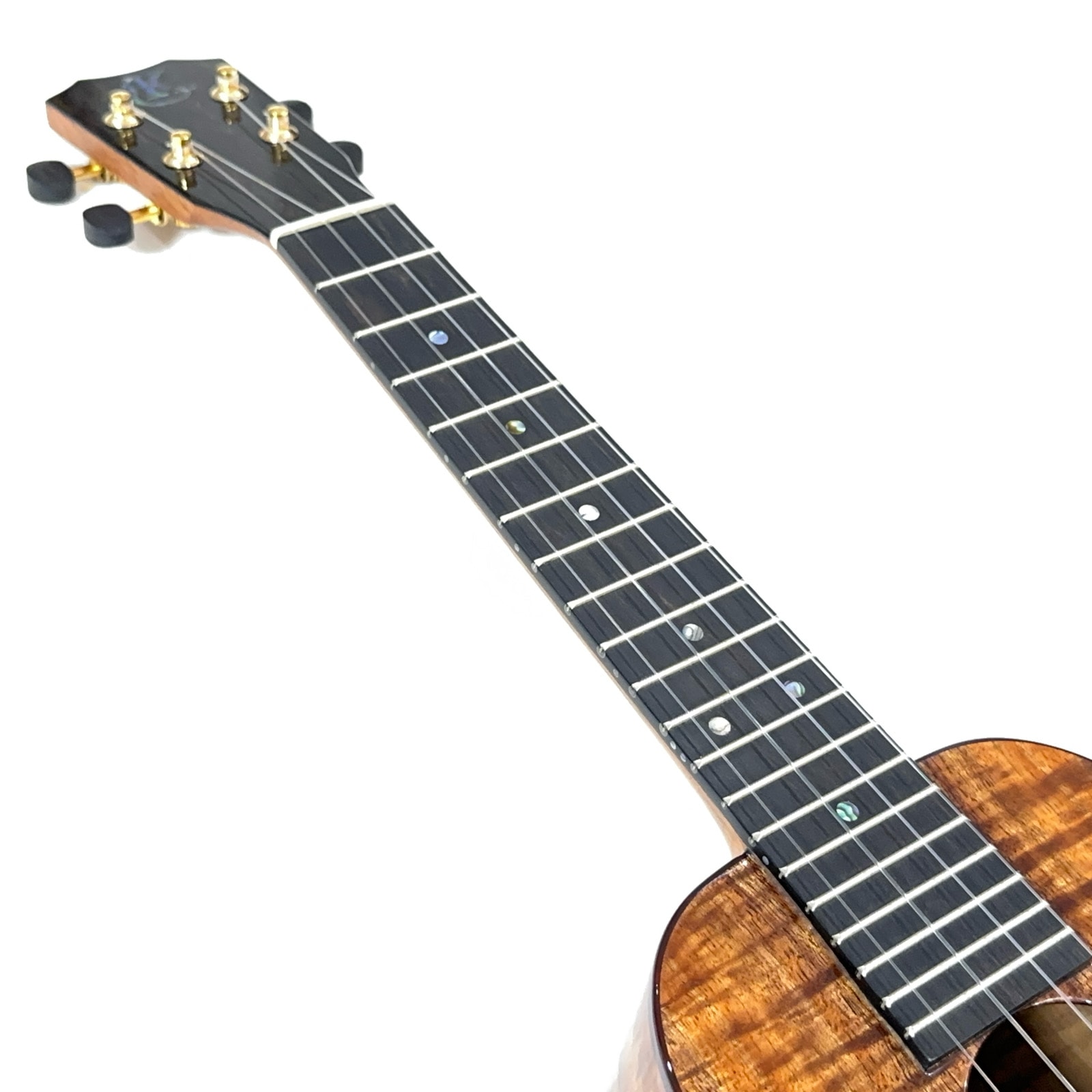 ��Kanile'a��HNSC/MG ���󥵡��ȥ�����