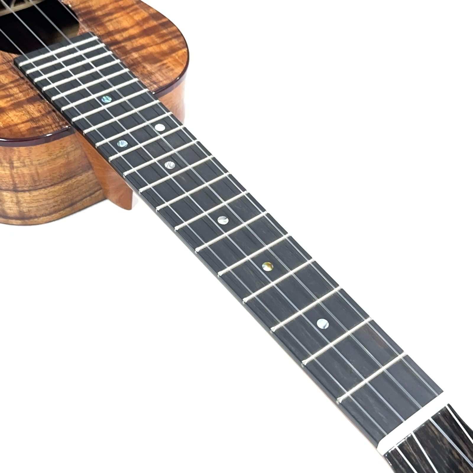 ��Kanile'a��HNSC/MG ���󥵡��ȥ�����