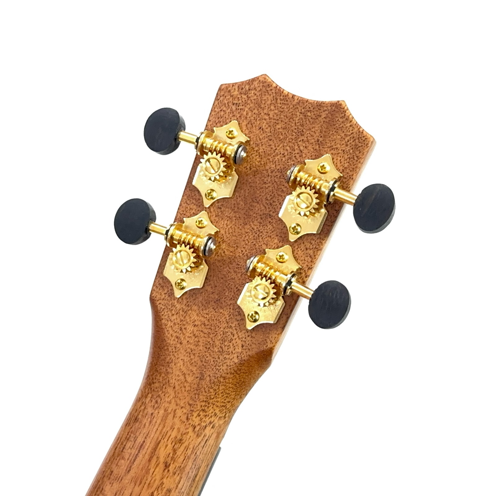 ��Kanile'a��HNSC/MG ���󥵡��ȥ�����