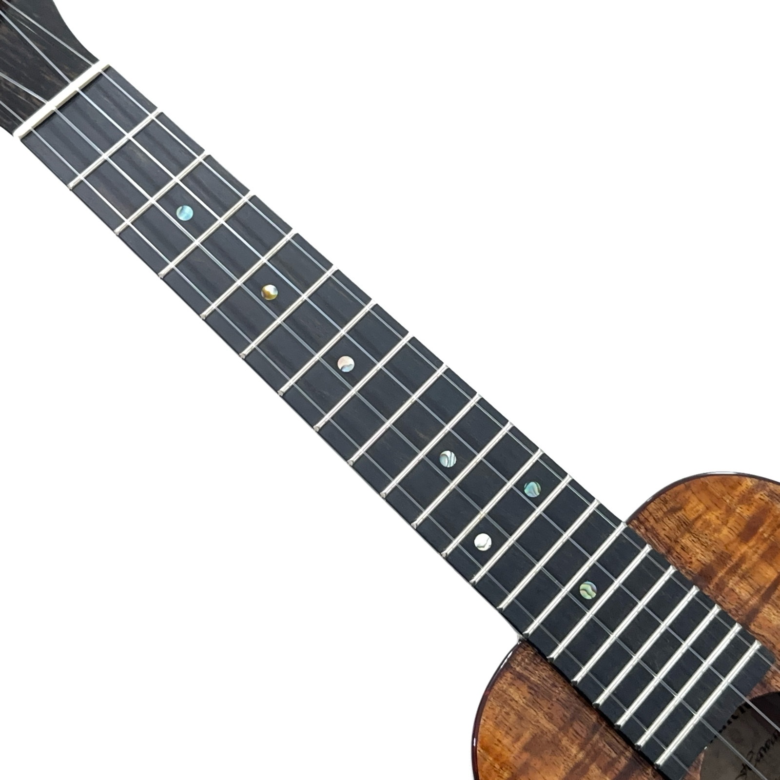 ��Kanile'a��HNSC/MG ���󥵡��ȥ�����