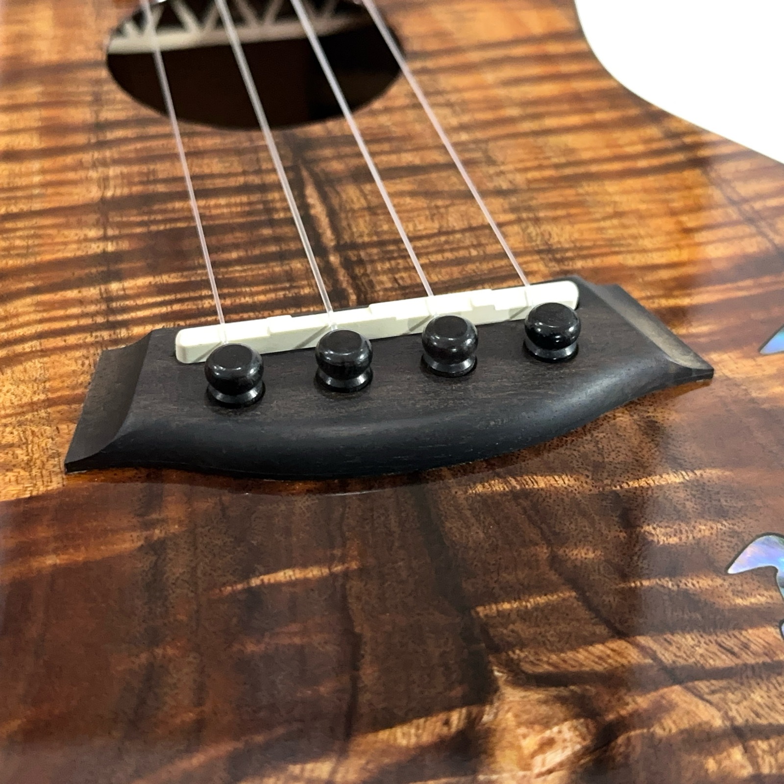 ��Kanile'a��HNSC/MG ���󥵡��ȥ�����