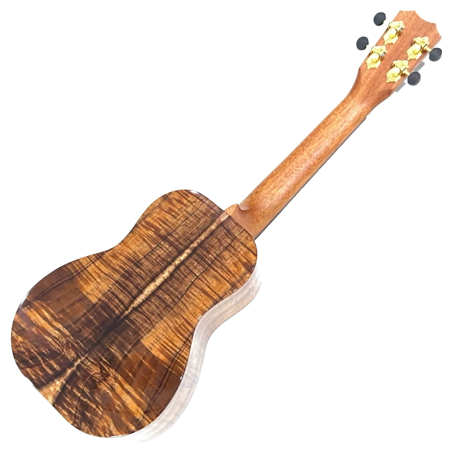 ��Kanile'a��HNSC/MG ���󥵡��ȥ�����