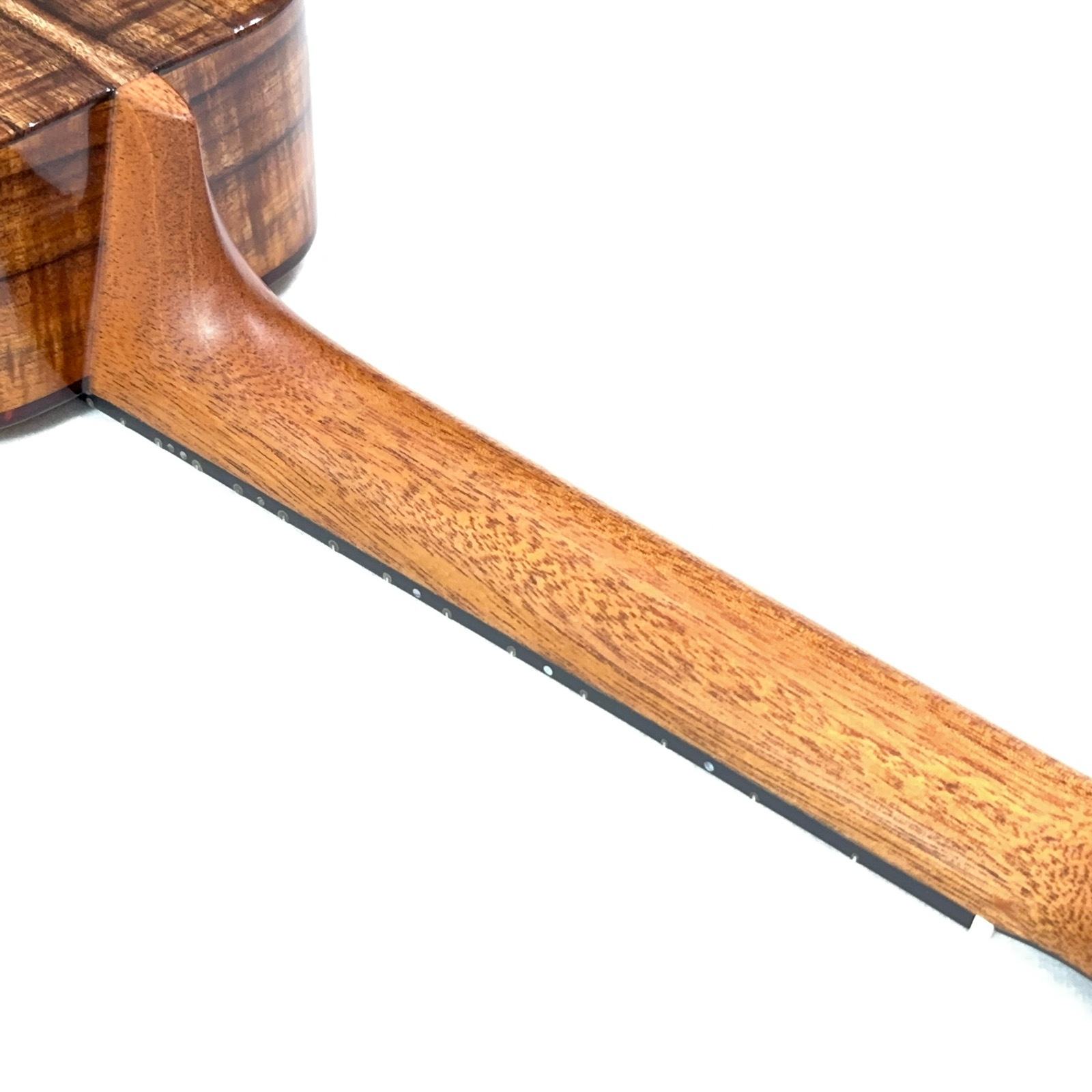 ��Kanile'a��HNSC/MG ���󥵡��ȥ�����