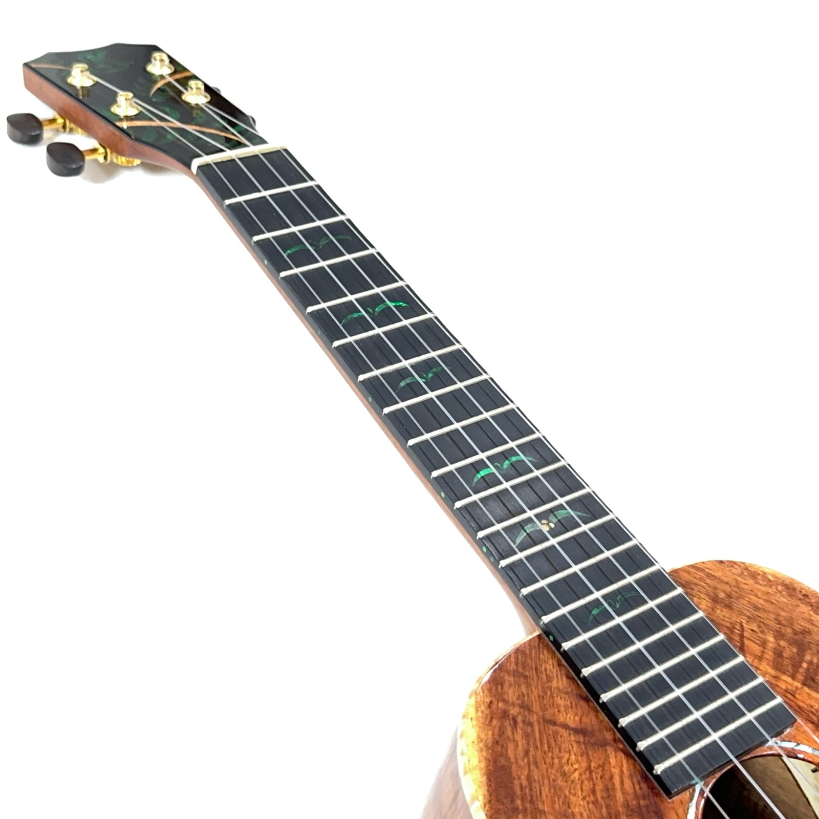 ��Kanile'a��Custom Configuration ���󥵡��ȥ�����