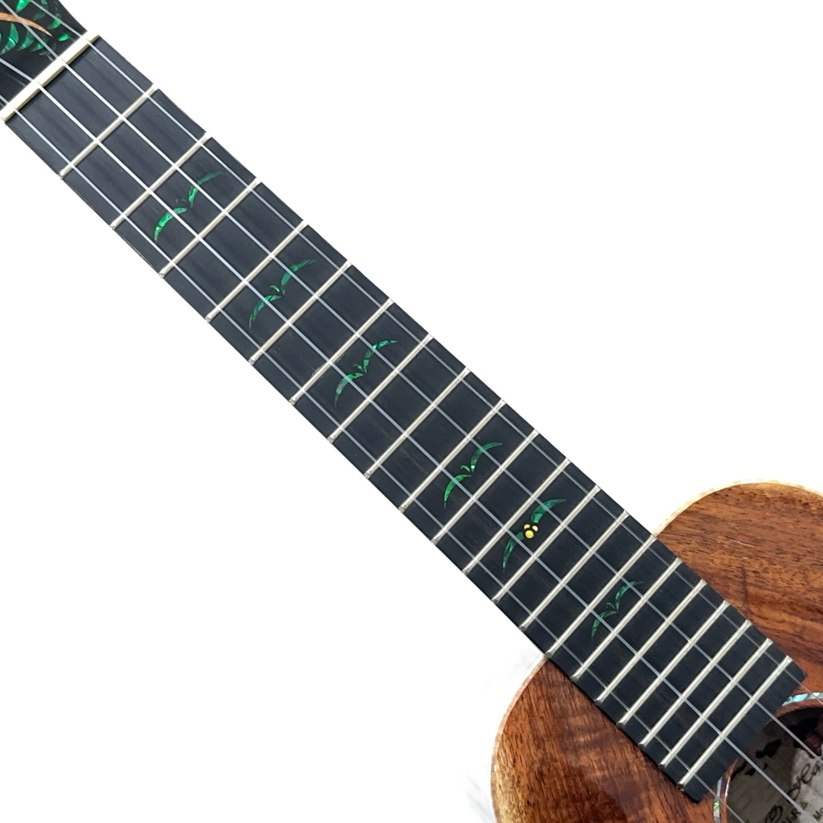 ��Kanile'a��Custom Configuration ���󥵡��ȥ�����