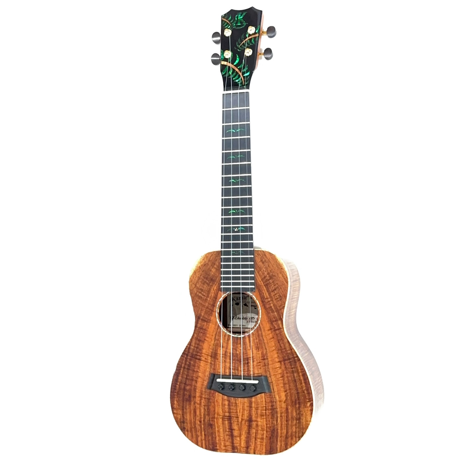 ��Kanile'a��Custom Configuration ���󥵡��ȥ�����