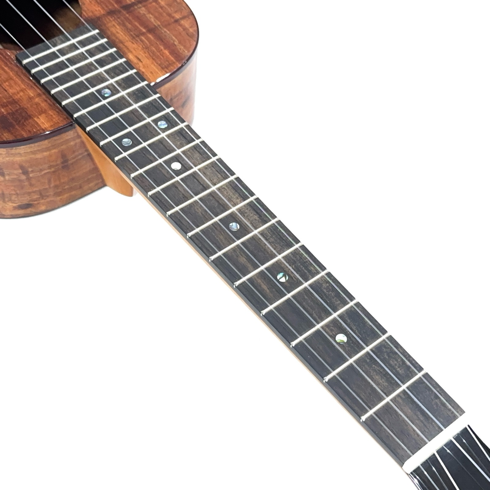 ��Kanile'a��ISLT/PG �ƥʡ�������